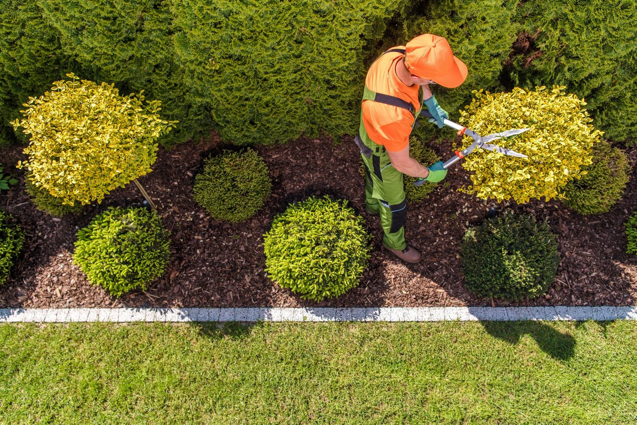 Ein Mann bei Gartenarbeit aus der Vogelperspektive.